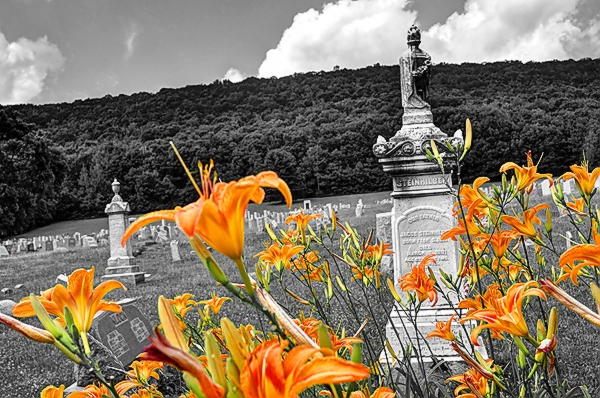 Day Lillies in the Graveyard.jpg